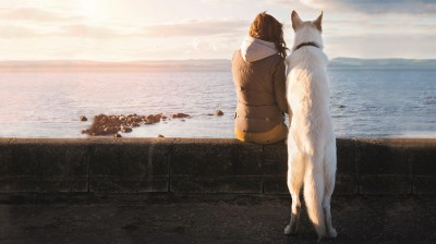 Reisen mit dem Hund. Urlaub - die schönste Zeit.