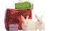 Eben noch als Geschenk unter dem Weihnachstbaum, fristen Kaninchen nach der ersten Euphorie oft schnell ein trauriges Dasein oder landen im Tierheim.