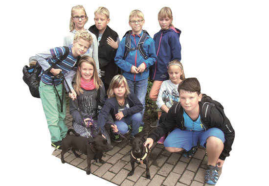 Die Kinder gehen unter anderem mit den Hunden des Tierheims spazieren.