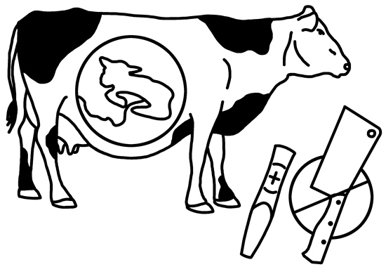 In beiden Labelstufen ist eine Trächtigkeitsuntersuchung vorgeschrieben. Die Schlachtung trächtiger Rinder ist verboten.