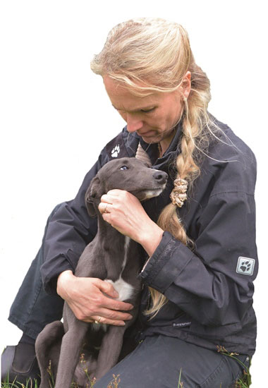 Natascha Wothke, zweite Vorsitzende des Vereins Pro Animale für Tiere in Not, kümmert sich um einen Greyhound.