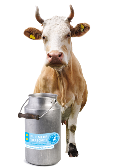 Immer mehr Landwirte entscheiden sich unter dem Tierschutzlabel „Für Mehr Tierschutz“ für bessere Bedingungen bei der Haltung von Milchkühen.